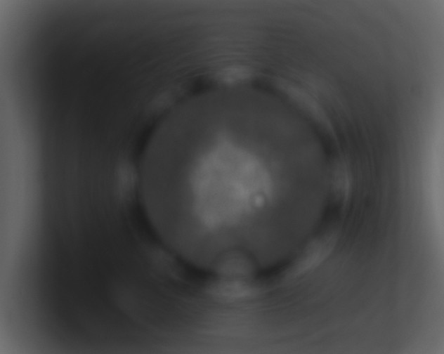 X0000100910523200807081127