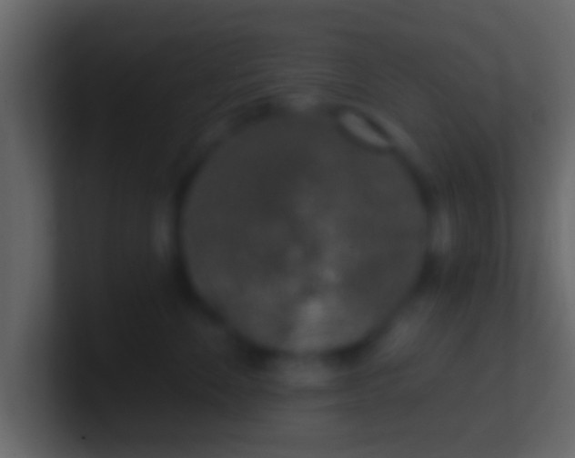 X0000100910524200807081127
