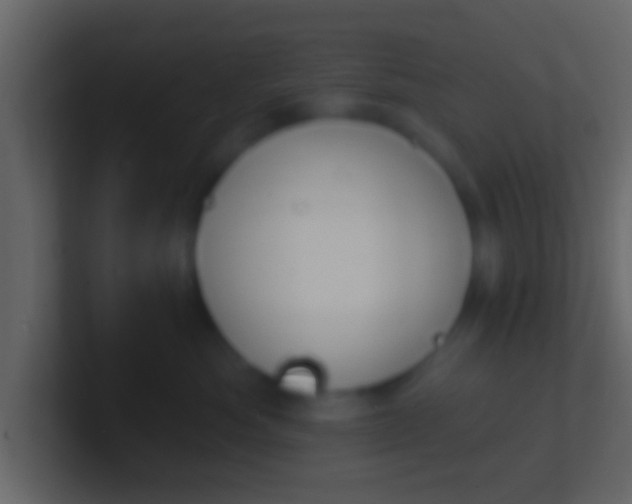 X0000100910525200807081127