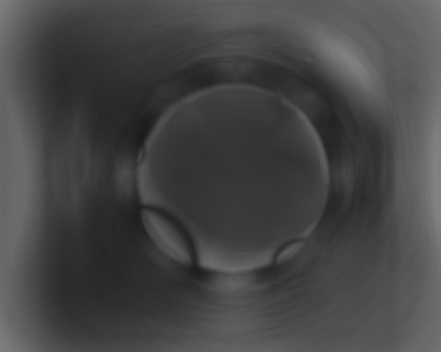 X0000100910526200807081127