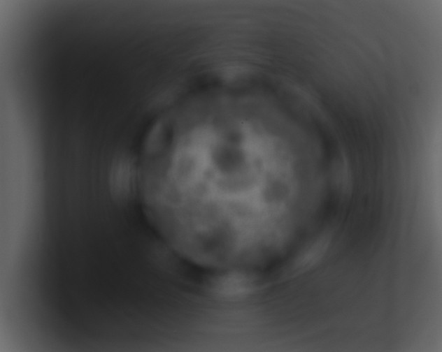 X0000100910527200807081127