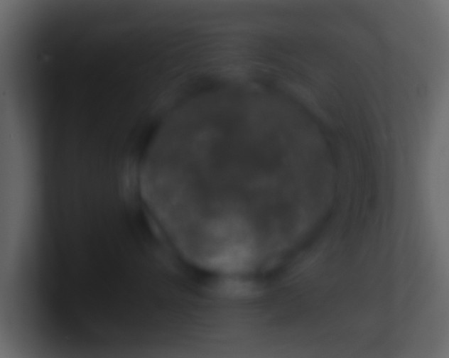 X0000100910528200807081127