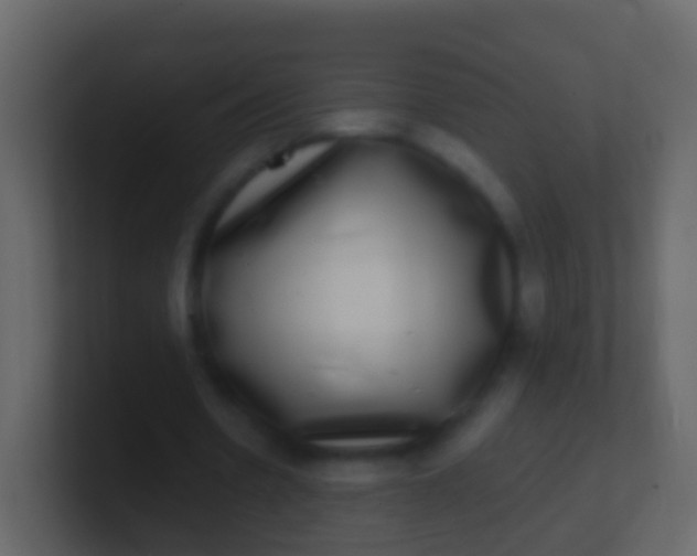 X0000100910530200807081126