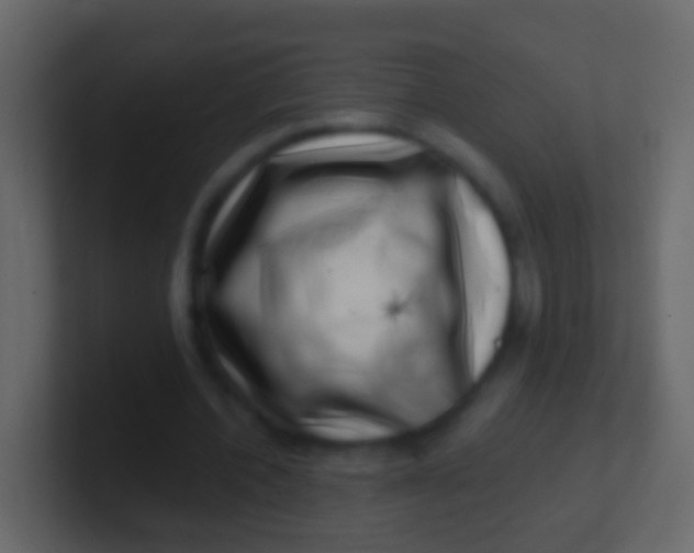X0000100910532200807081126