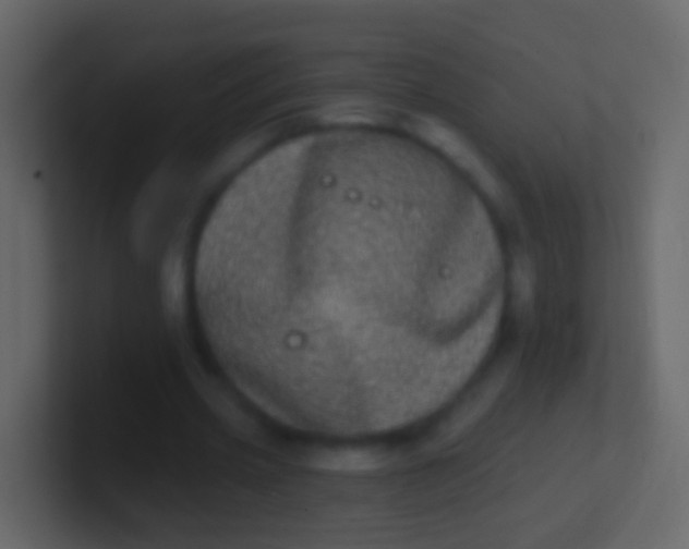 X0000100910533200807081126
