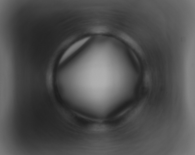 X0000100910535200807081126