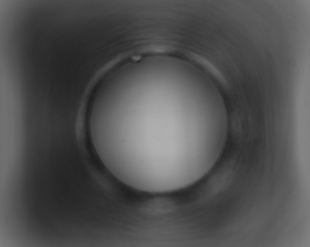 X0000100910536200807081126