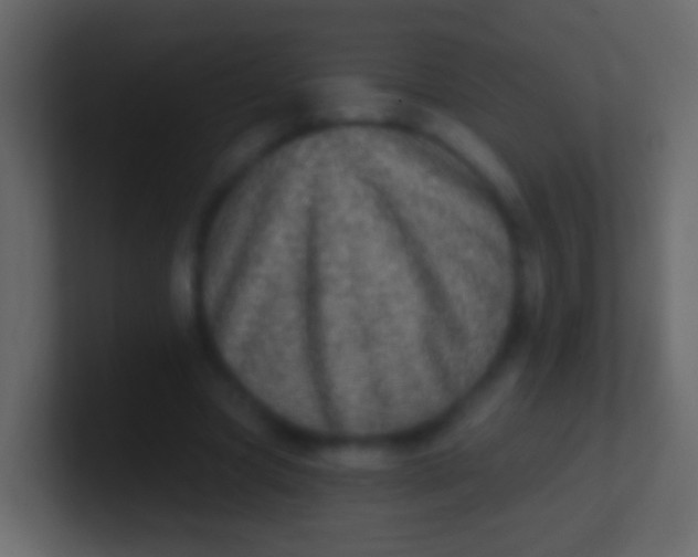X0000100910537200807081126