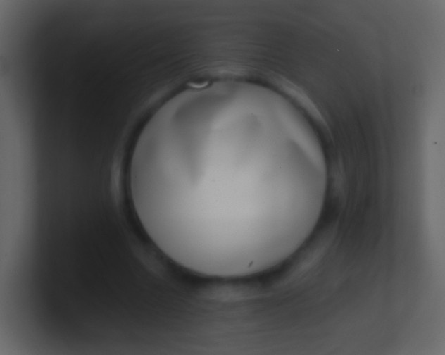 X0000100910538200807081126