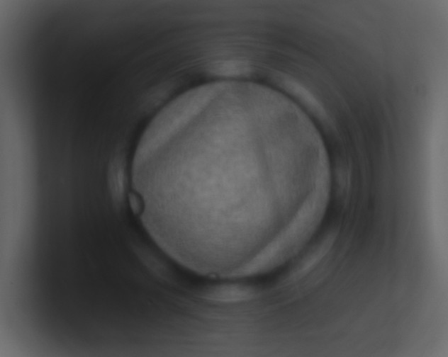 X0000100910541200807081126