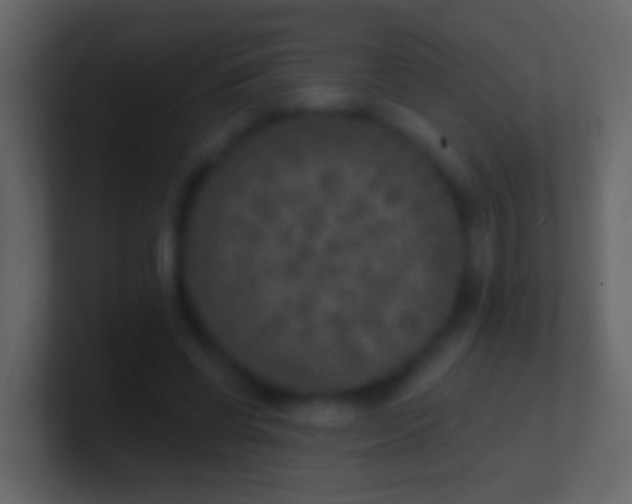 X0000100910542200807081126
