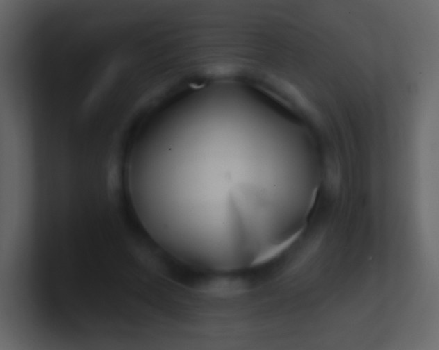 X0000100910543200807081126
