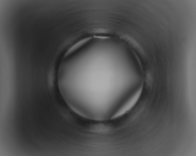 X0000100910544200807081126
