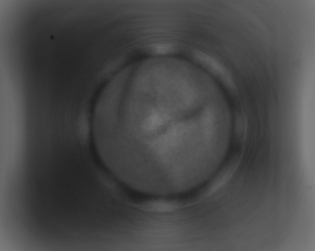 X0000100910545200807081126
