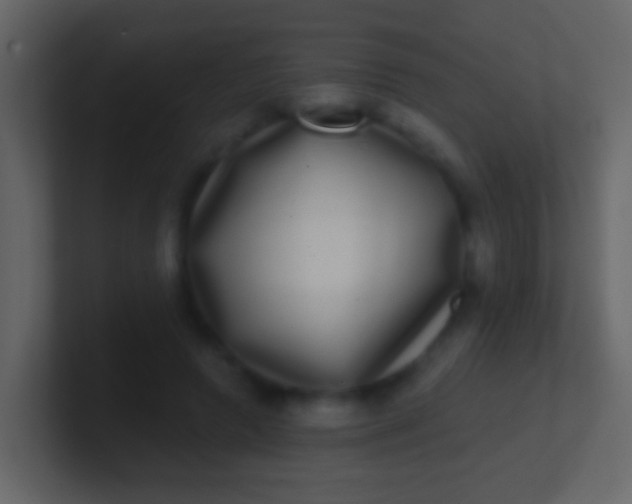 X0000100910546200807081126