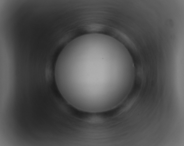 X0000100910547200807081126