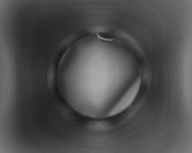 X0000100910548200807081126