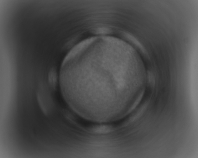 X0000100910549200807081126