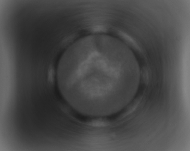 X0000100910550200807081126