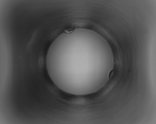 X0000100910551200807081126