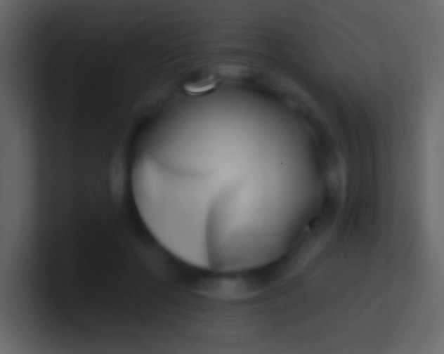 X0000100910552200807081126