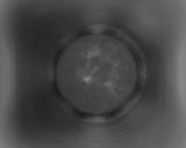 X0000100910553200807081126