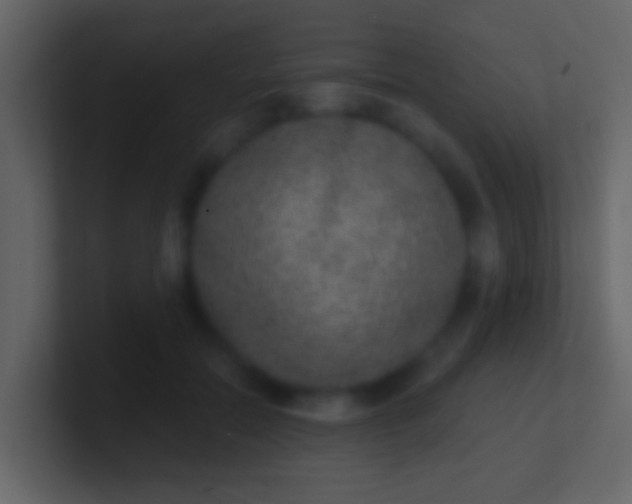 X0000100910554200807081126