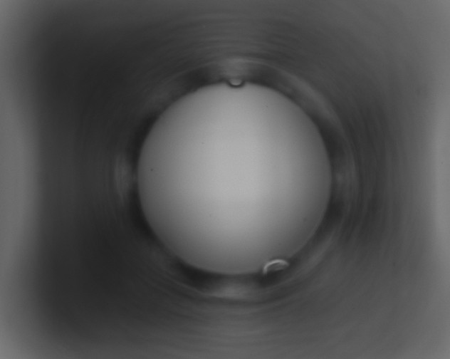 X0000100910555200807081126