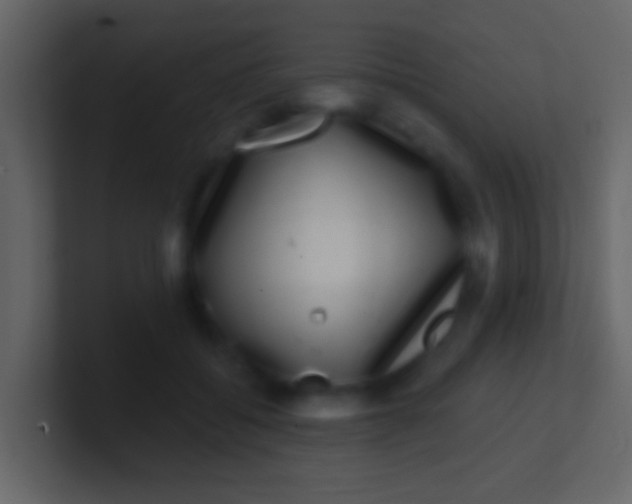 X0000100910556200807081126