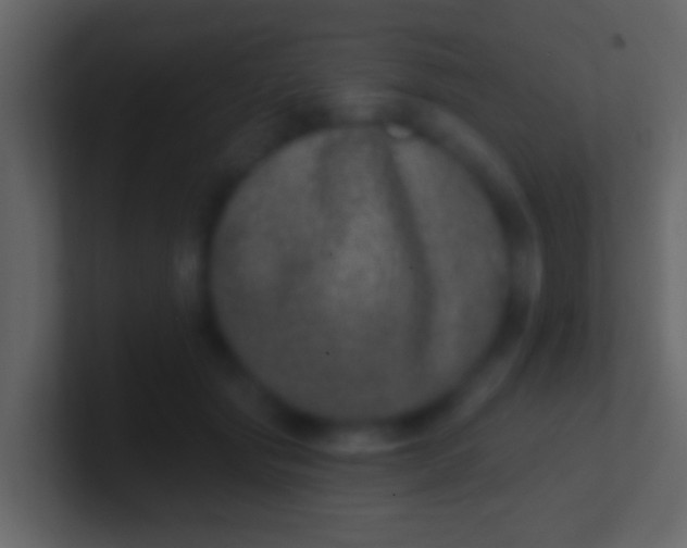 X0000100910557200807081126