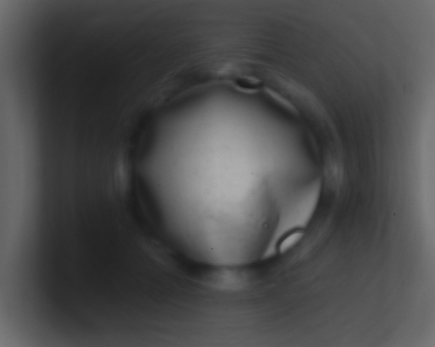 X0000100910558200807081126