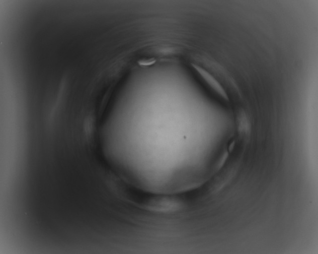 X0000100910559200807081126