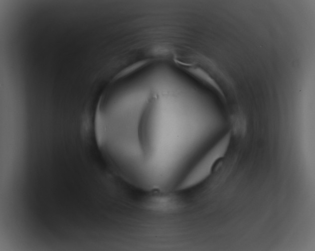 X0000100910560200807081126