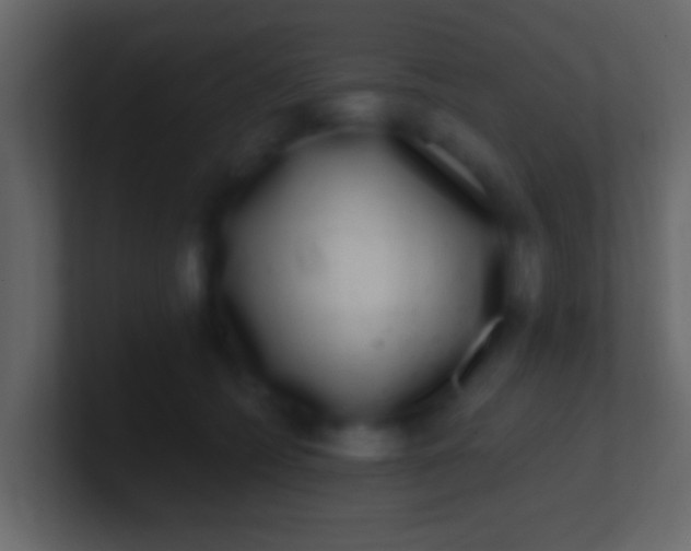 X0000100910562200807081126