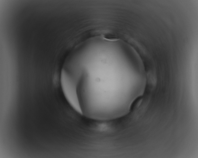 X0000100910564200807081126