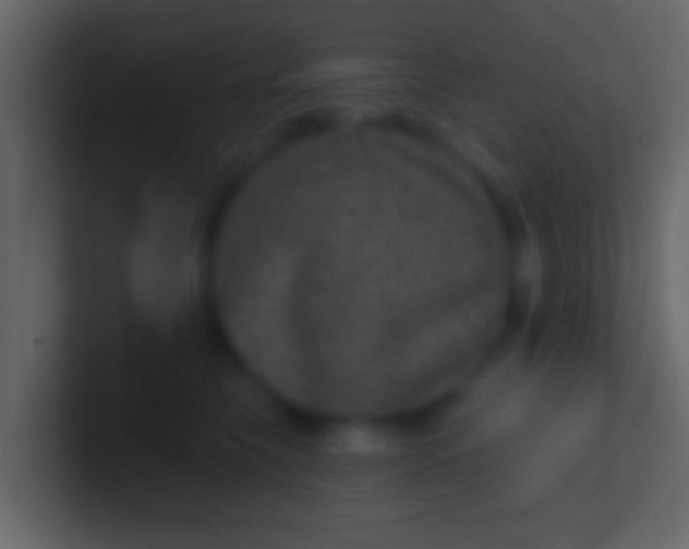 X0000100910565200807081127