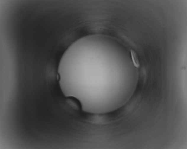 X0000100910566200807081127