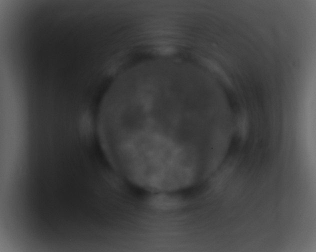 X0000100910568200807081127