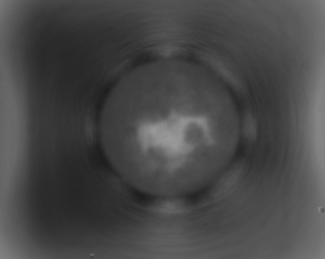 X0000100910569200807081127