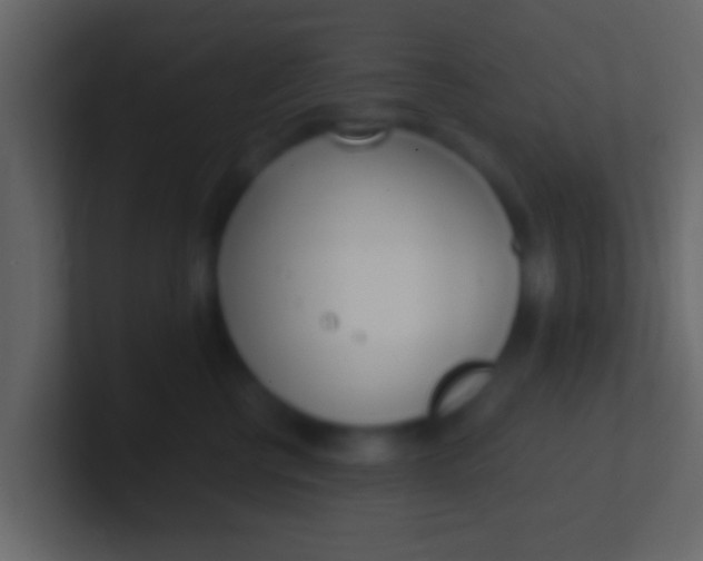 X0000100910570200807081127