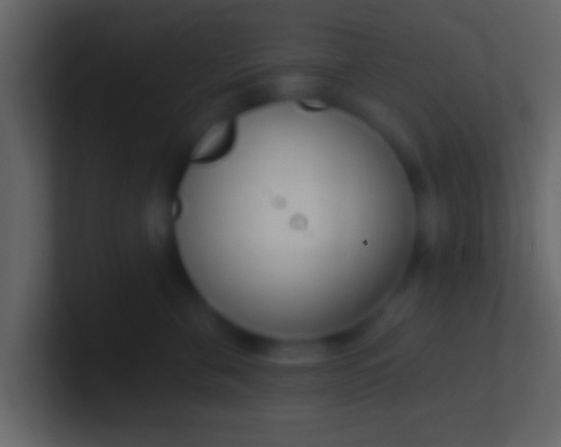 X0000100910571200807081127