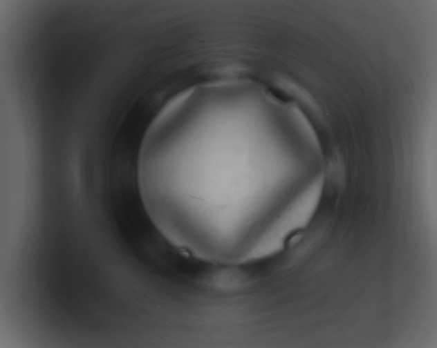 X0000100910572200807081127