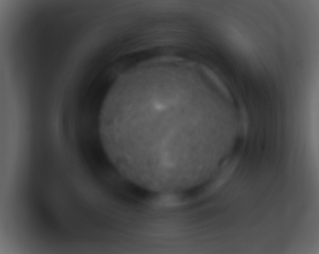 X0000100910573200807081127