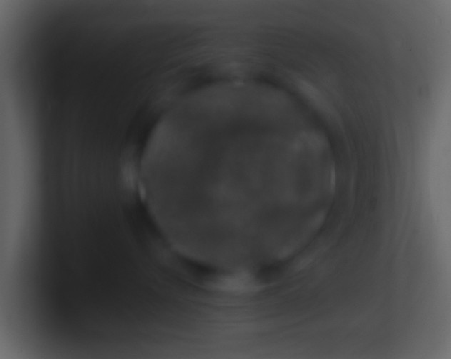 X0000100910576200807081127