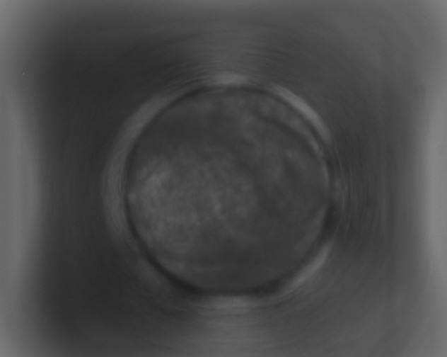 X0000100910577200807081126
