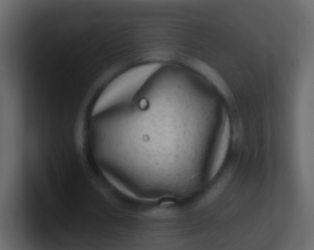 X0000100910578200807081126