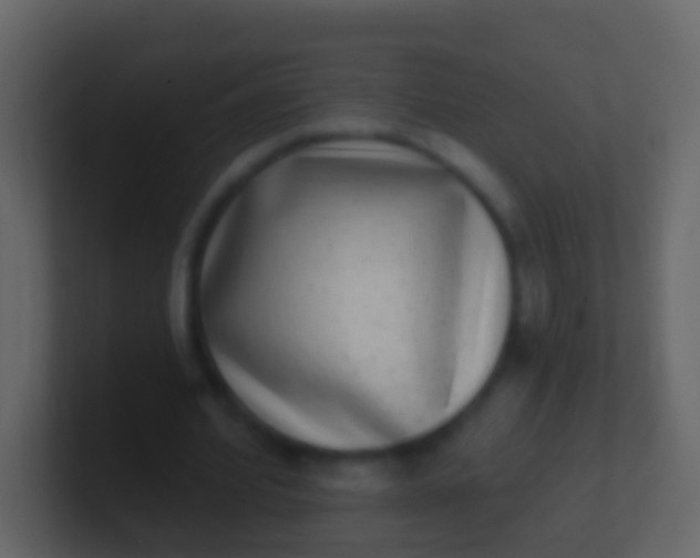 X0000100910580200807081126