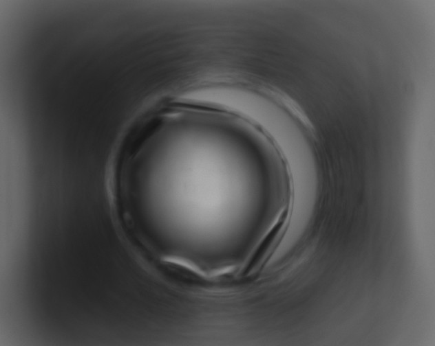 X0000100910581200807081126
