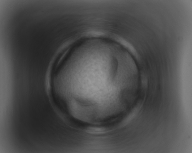X0000100910582200807081126
