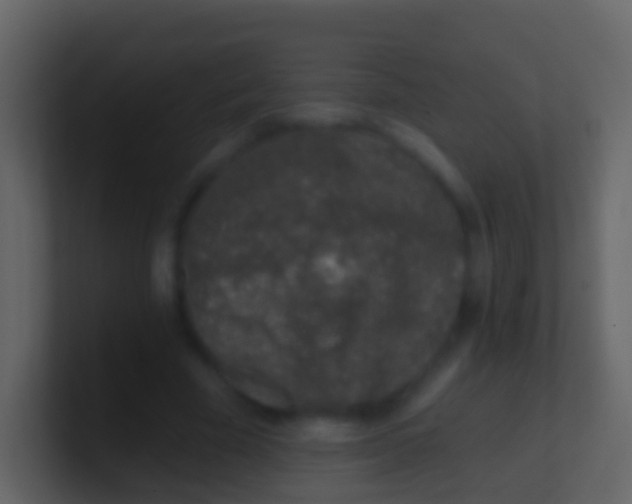 X0000100910585200807081126